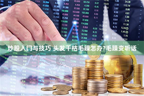 炒股入门与技巧 头发干枯毛躁怎办?毛躁变听话
