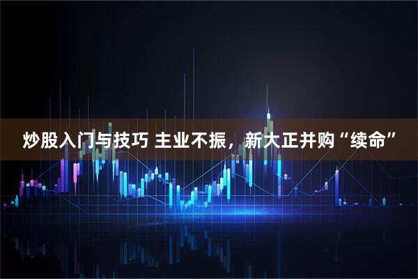 炒股入门与技巧 主业不振，新大正并购“续命”
