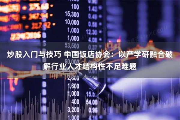 炒股入门与技巧 中国饭店协会：以产学研融合破解行业人才结构性不足难题