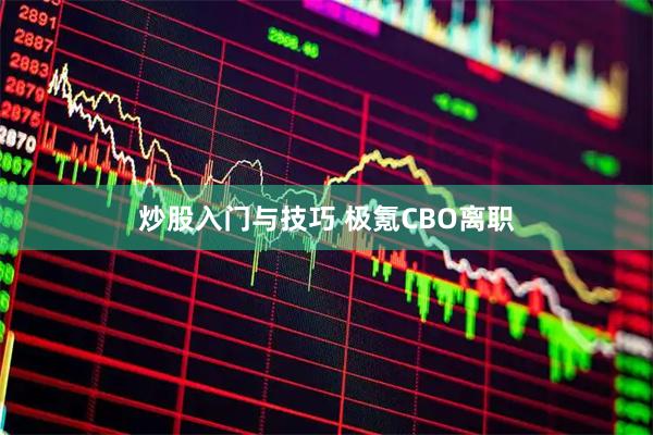 炒股入门与技巧 极氪CBO离职