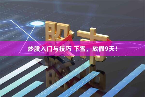炒股入门与技巧 下雪，放假9天！