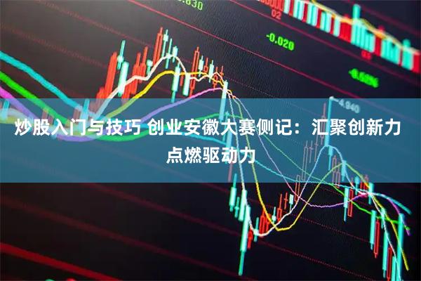 炒股入门与技巧 创业安徽大赛侧记：汇聚创新力 点燃驱动力