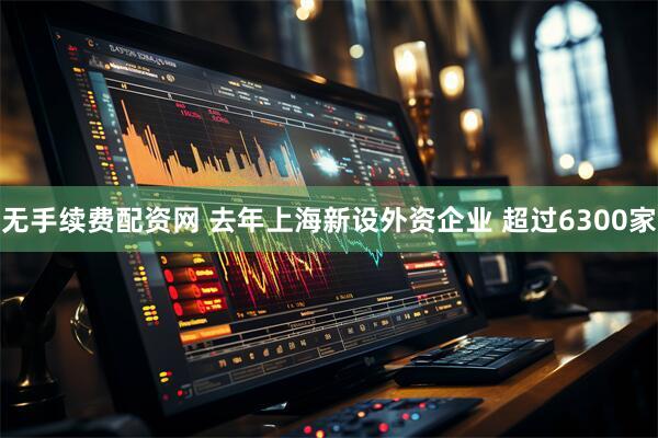 无手续费配资网 去年上海新设外资企业 超过6300家