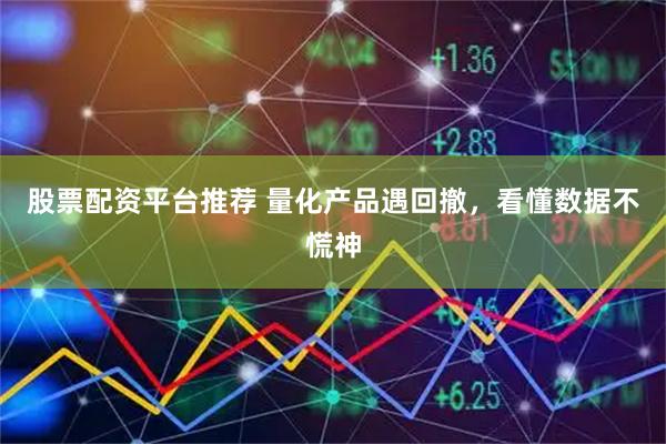 股票配资平台推荐 量化产品遇回撤，看懂数据不慌神